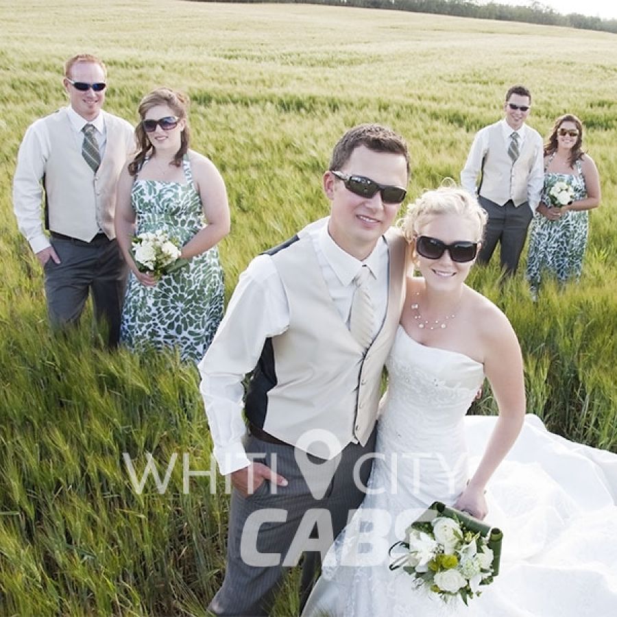 Wedding party in grassy field